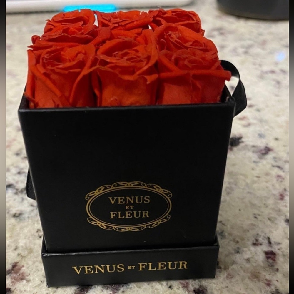 Venus et Fleur Red Forever Roses